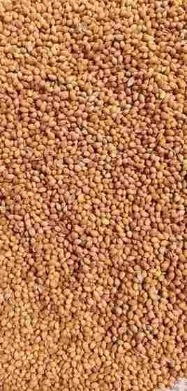 Coriander seeds